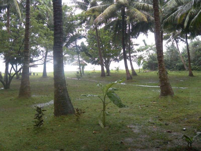 Image SAM_5178.JPG
