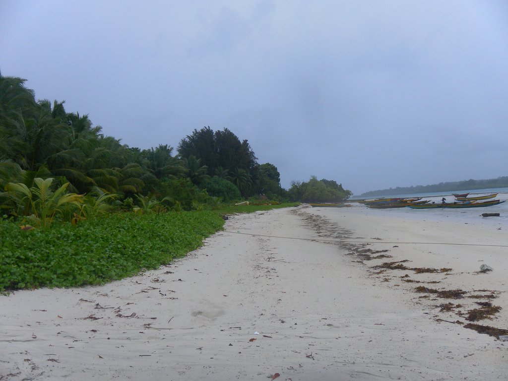 Image SAM_5179.JPG