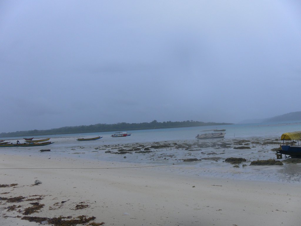 Image SAM_5180.JPG