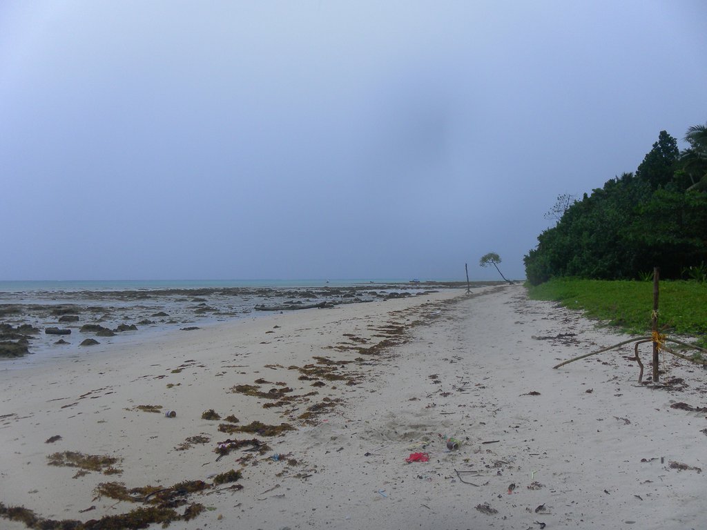 Image SAM_5182.JPG