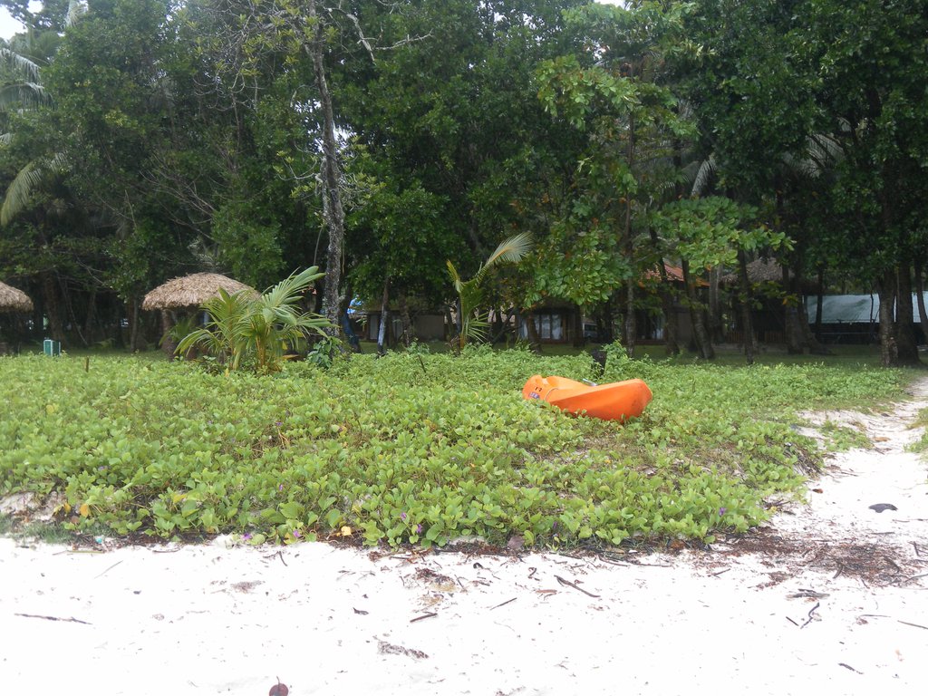 Image SAM_5183.JPG