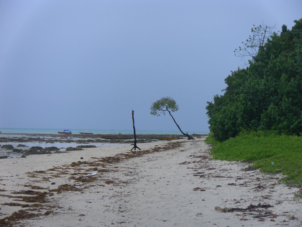 Image SAM_5184.JPG