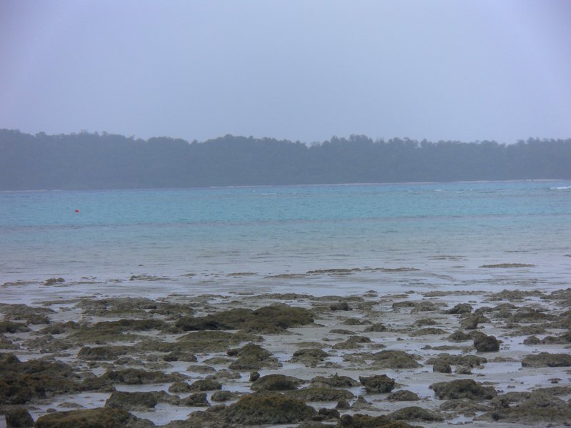 Image SAM_5185.JPG