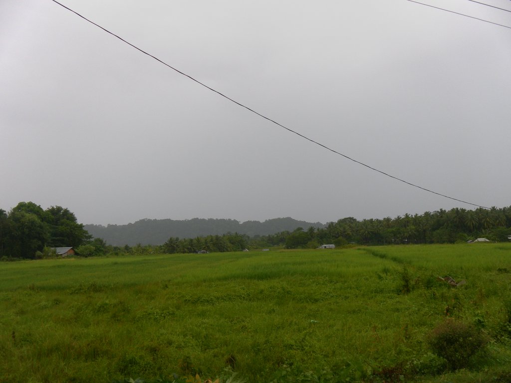Image SAM_5190.JPG