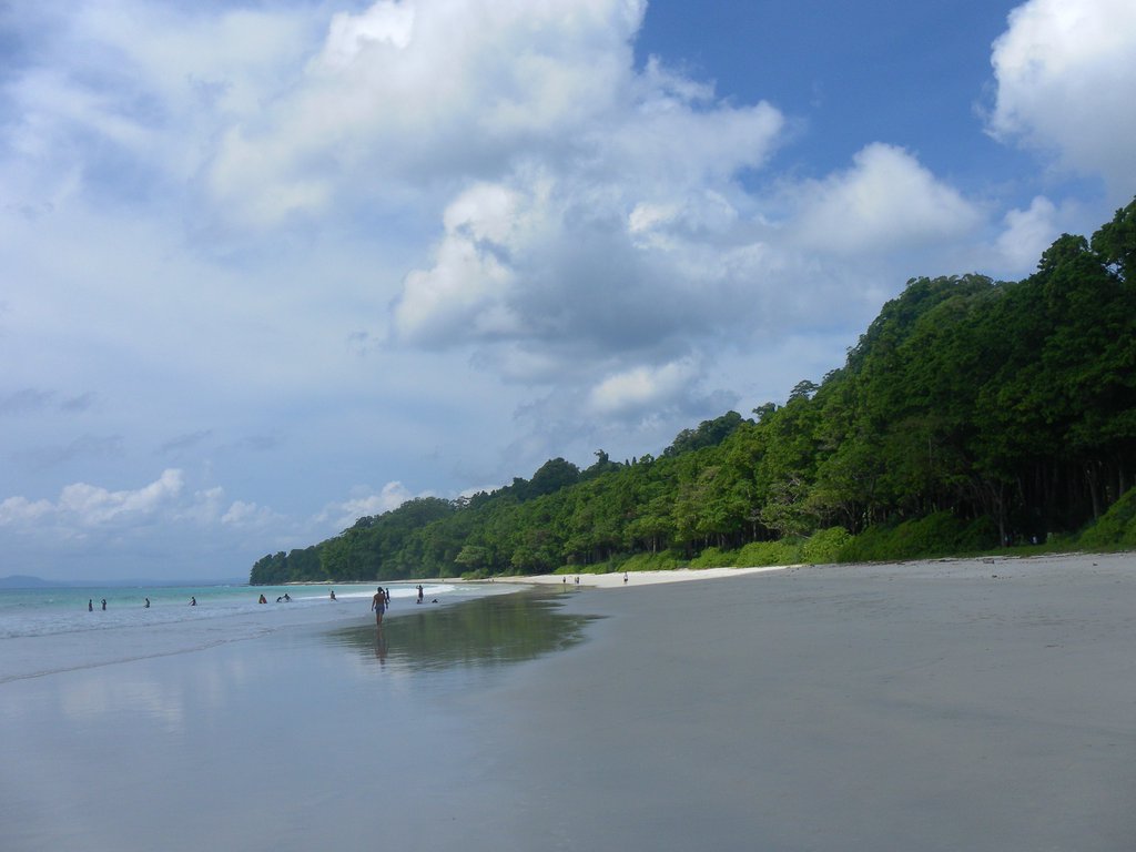 Image SAM_5196.JPG