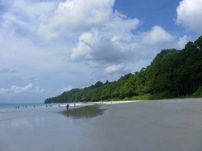 Image SAM_5196.JPG
