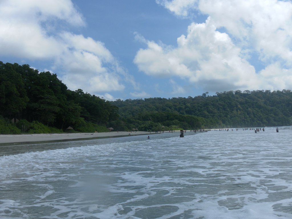 Image SAM_5198.JPG