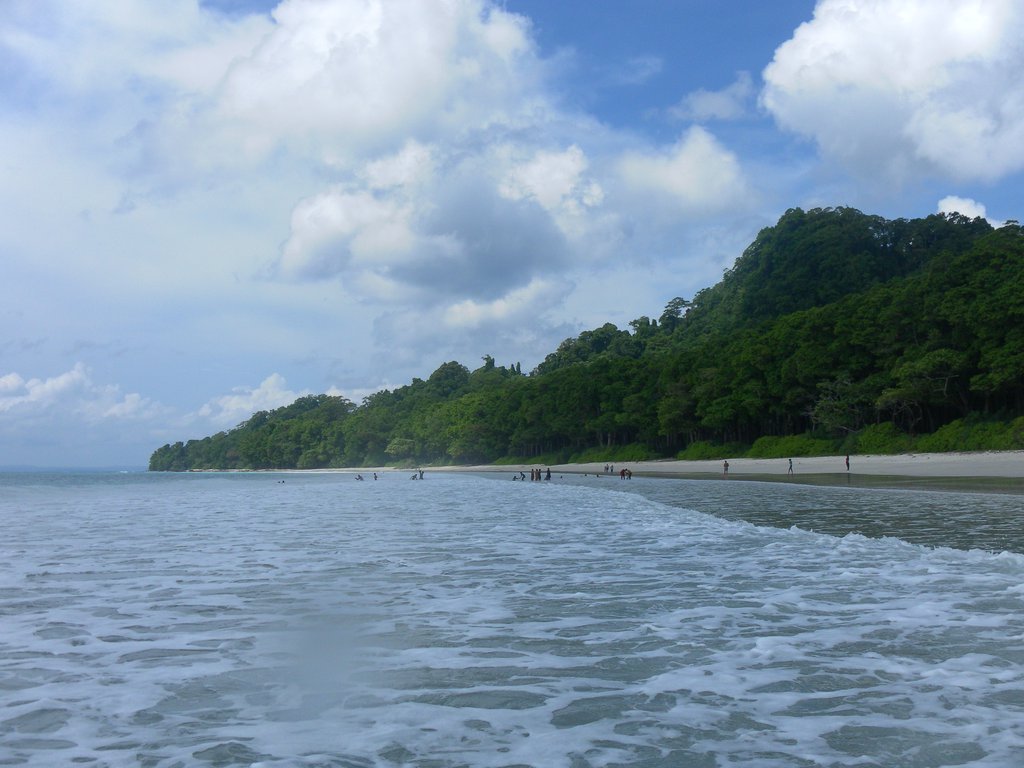 Image SAM_5199.JPG