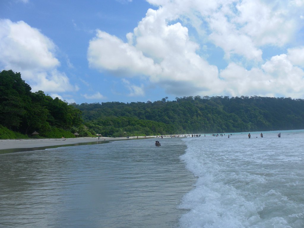 Image SAM_5201.JPG