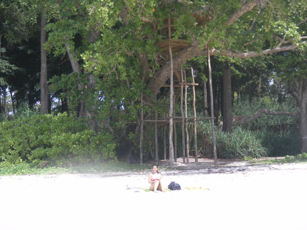 Image SAM_5202.JPG