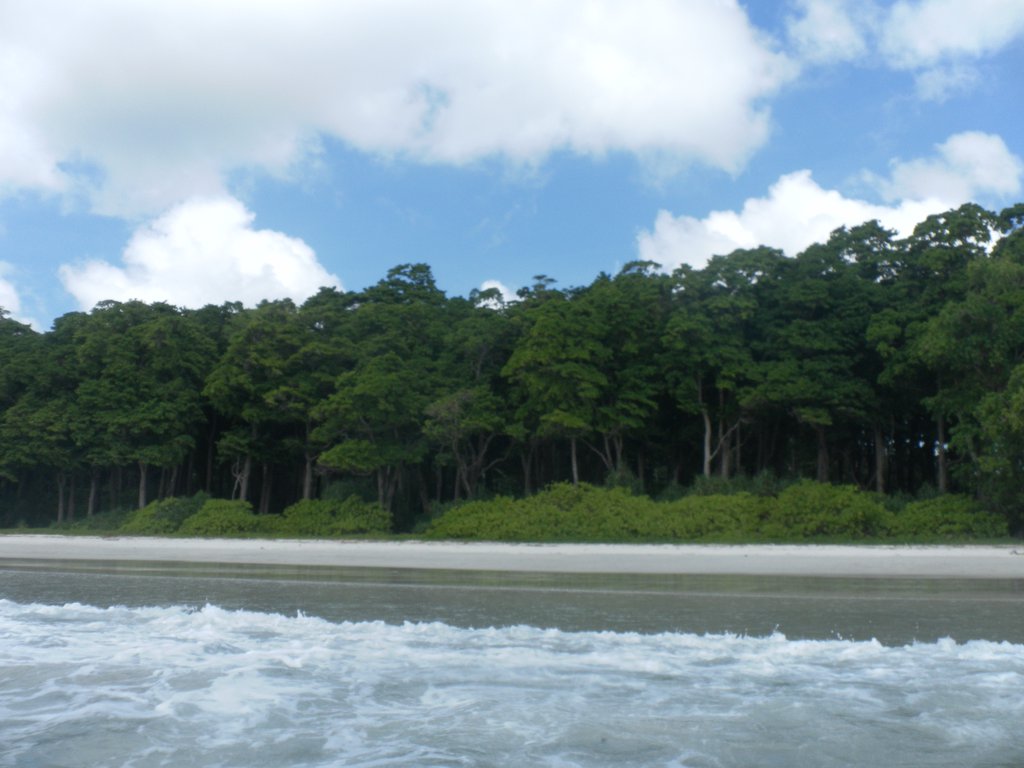 Image SAM_5216.JPG