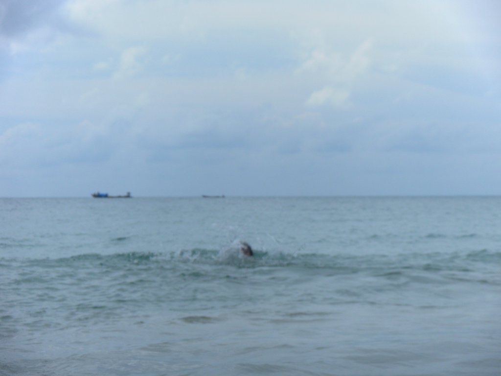 Image SAM_5218.JPG