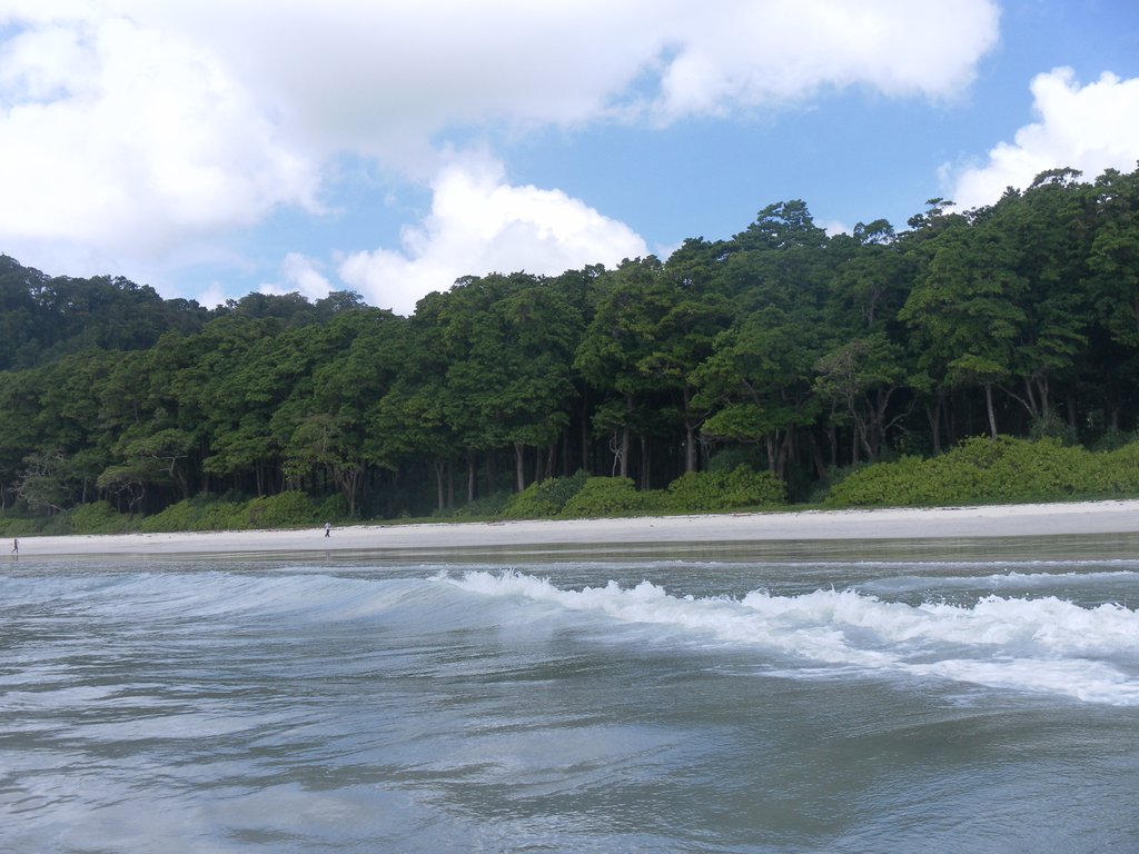 Image SAM_5220.JPG