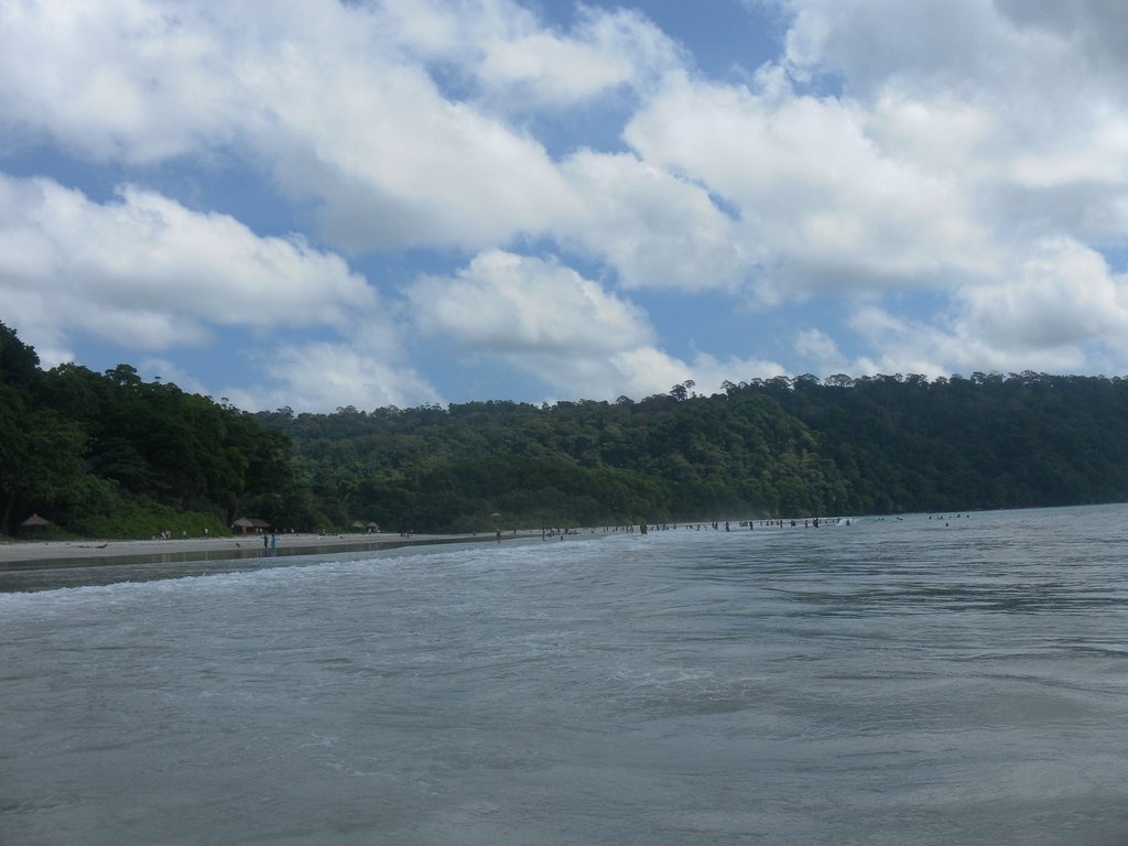 Image SAM_5223.JPG