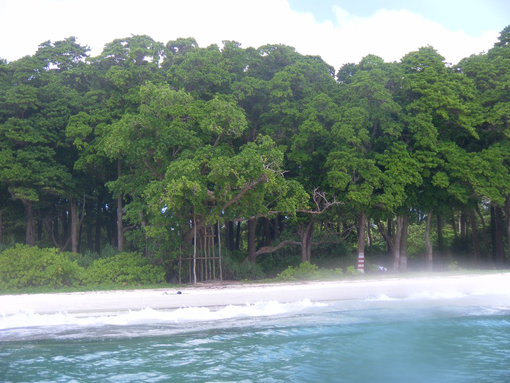 Image SAM_5224.JPG