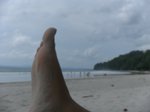 SAM 5233 thumb