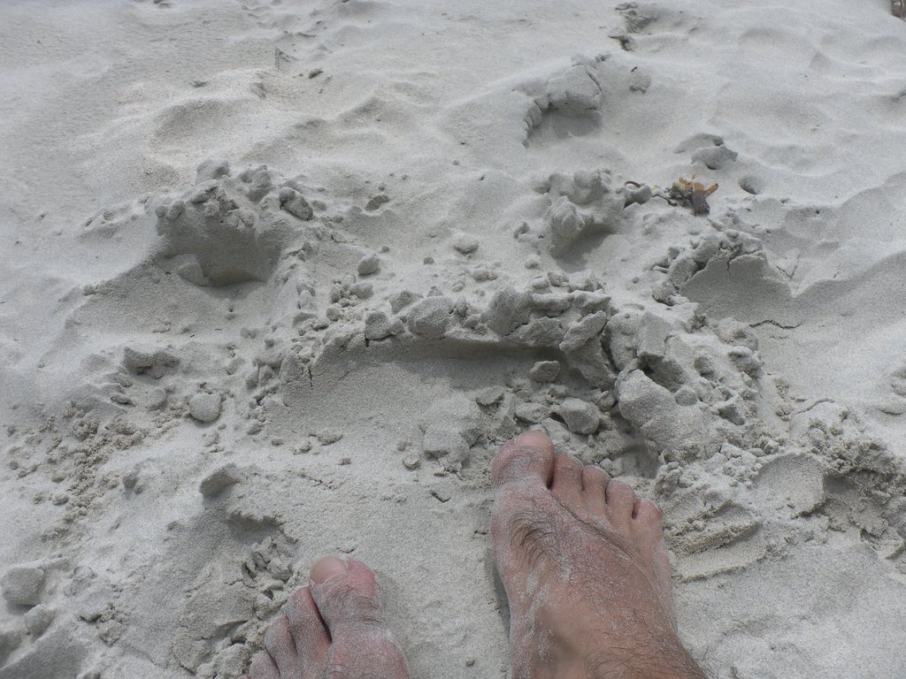 Image SAM_5235.JPG