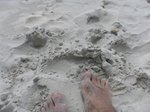 SAM 5235 thumb