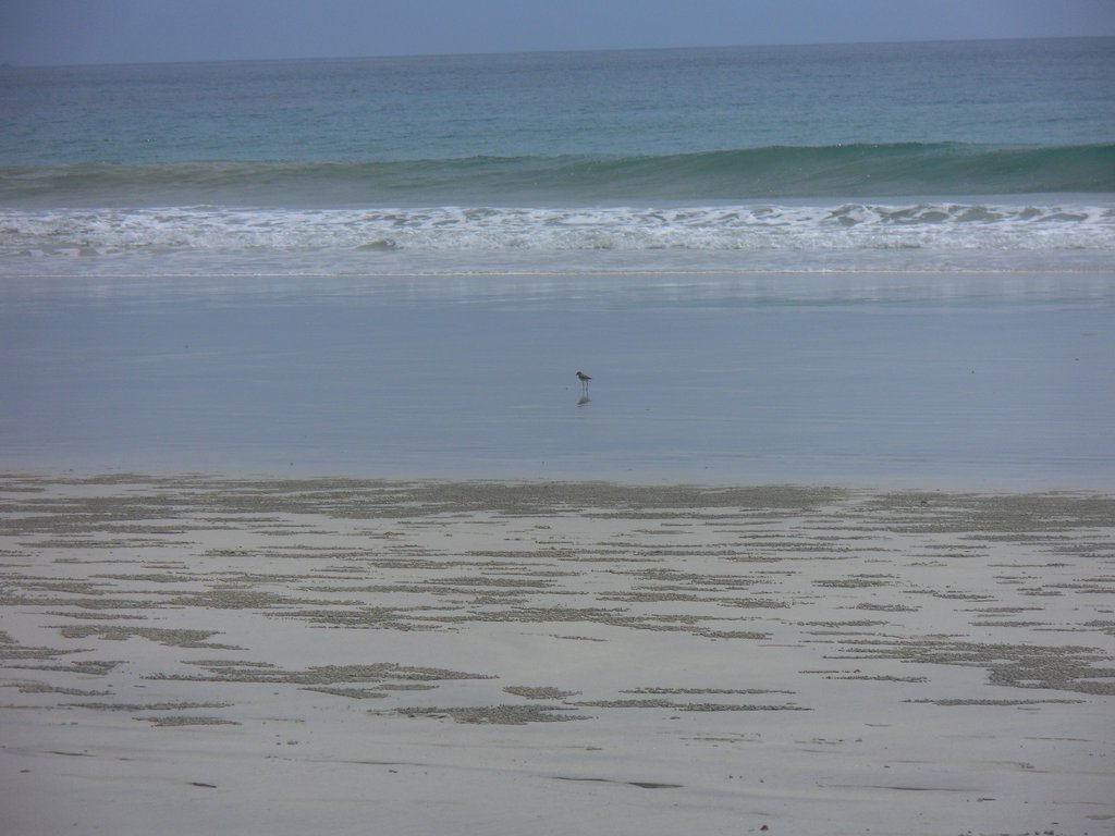 Image SAM_5236.JPG