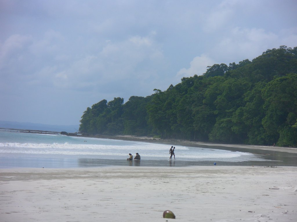 Image SAM_5237.JPG
