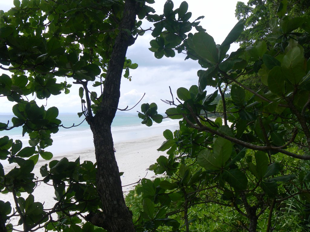 Image SAM_5239.JPG
