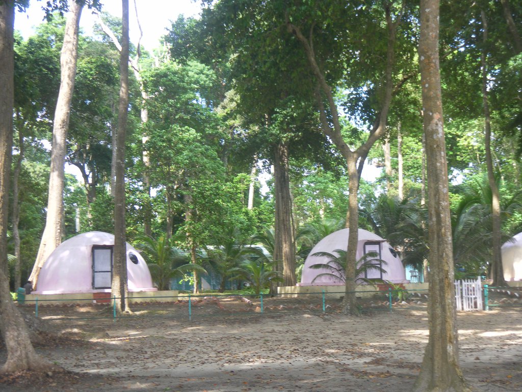 Image SAM_5243.JPG