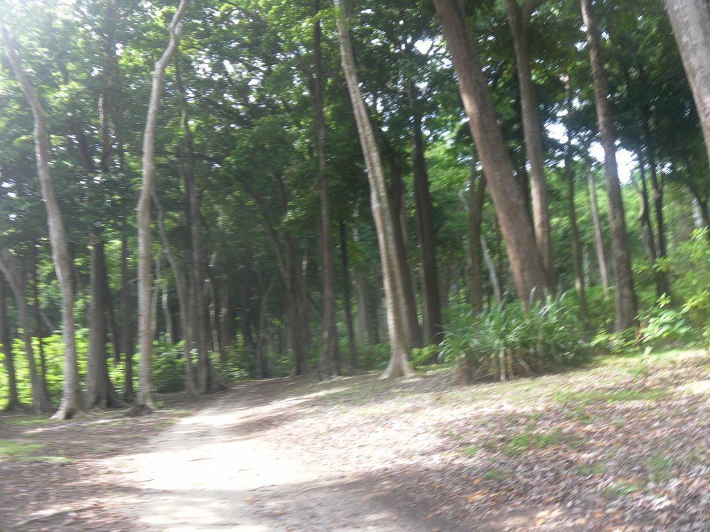 Image SAM_5246.JPG