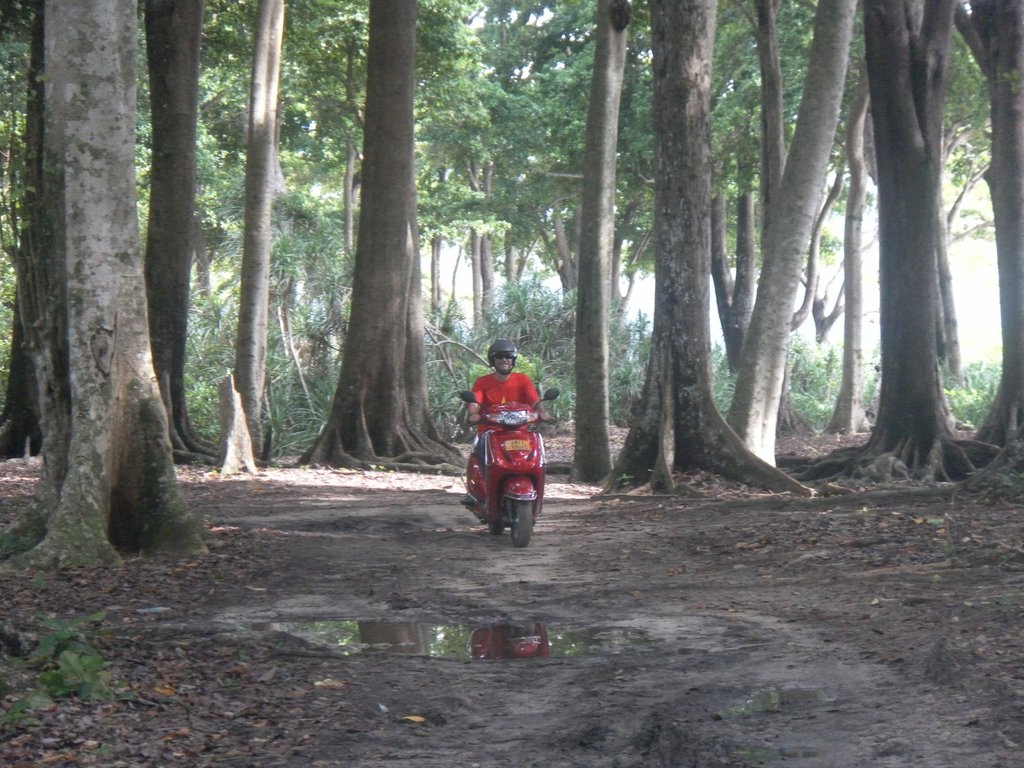 Image SAM_5253.JPG