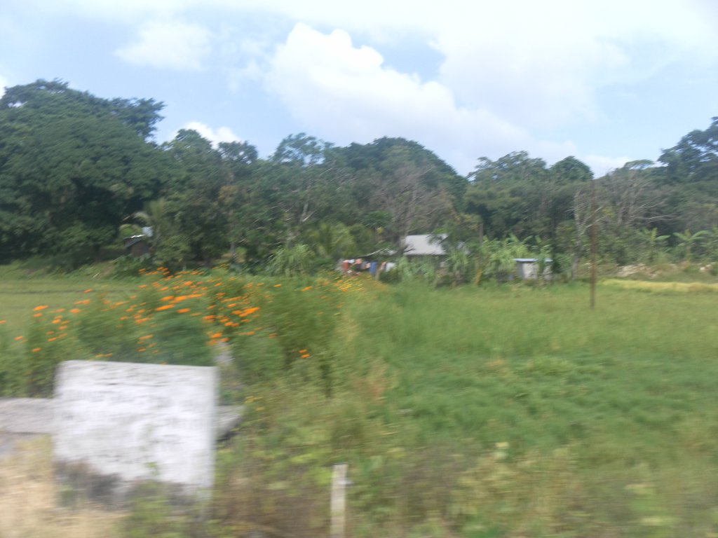 Image SAM_5264.JPG