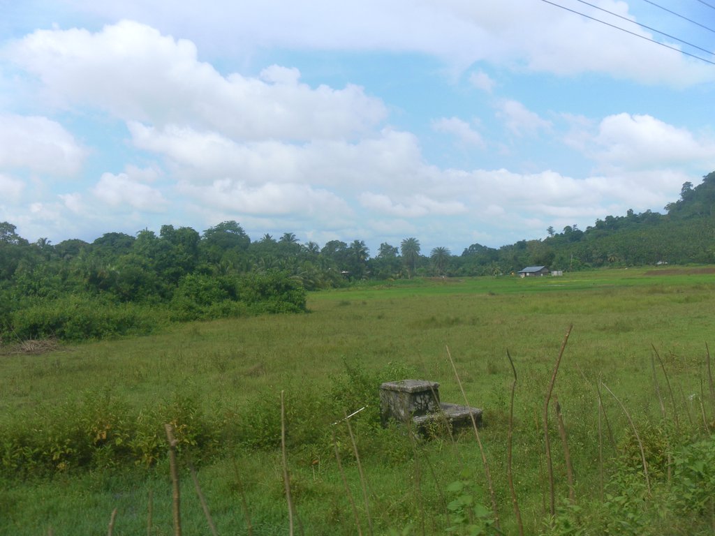 Image SAM_5265.JPG