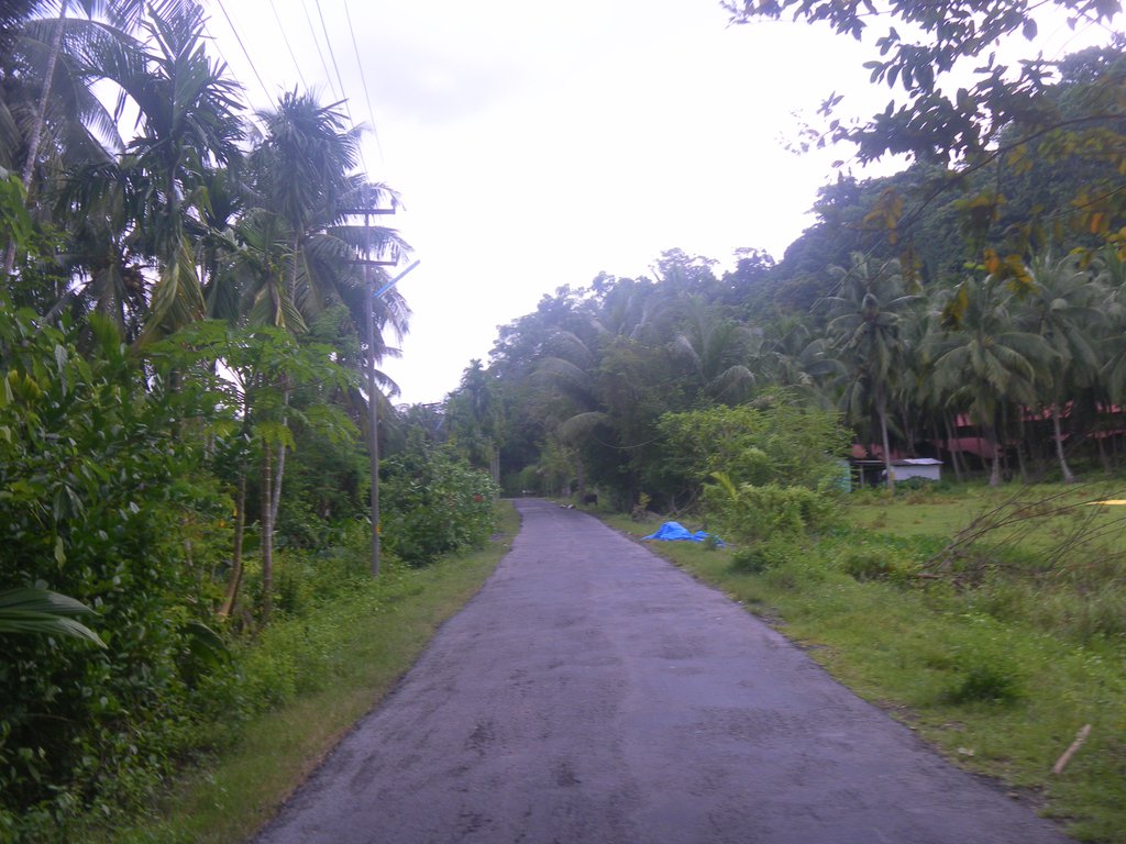 Image SAM_5266.JPG