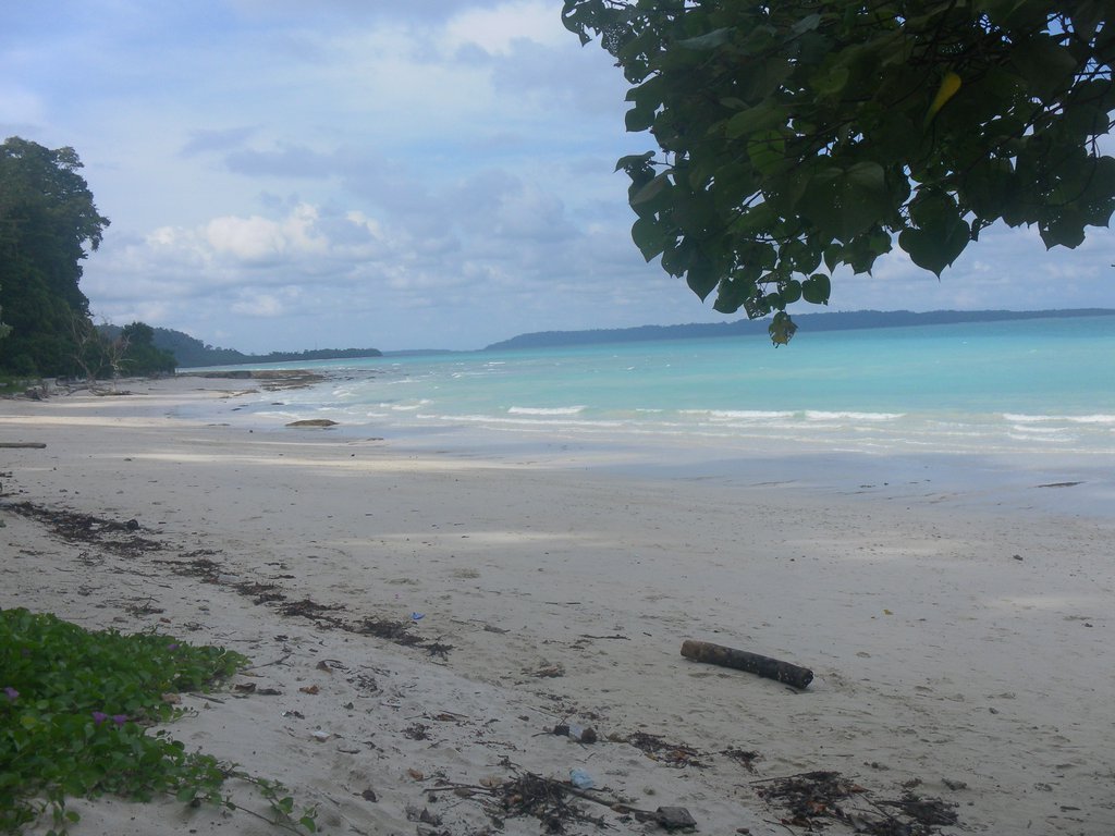 Image SAM_5270.JPG