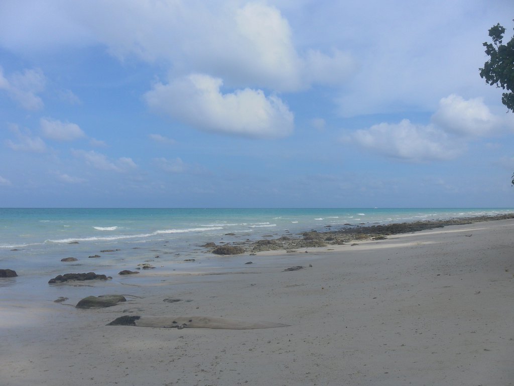 Image SAM_5272.JPG