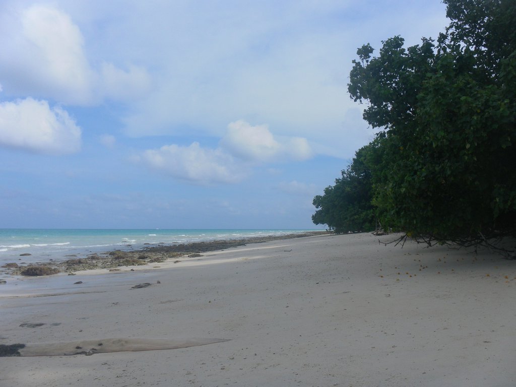 Image SAM_5273.JPG