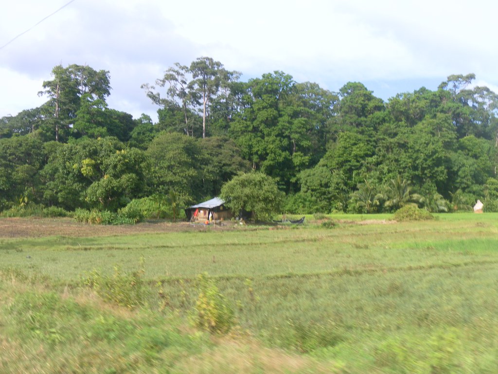 Image SAM_5274.JPG