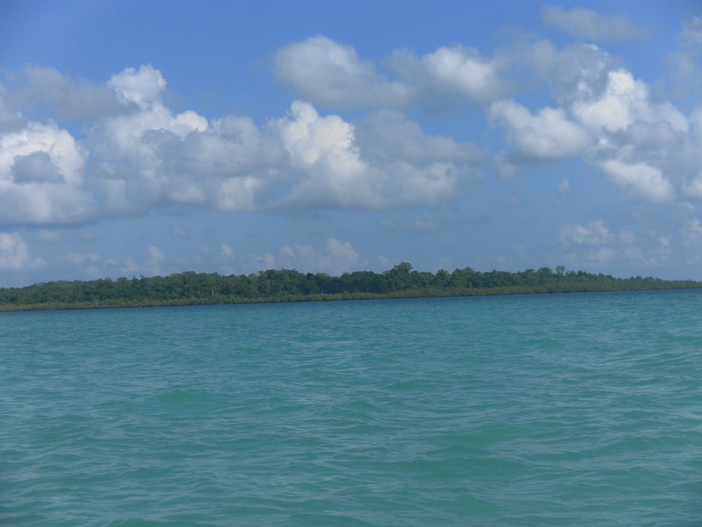 Image SAM_5281.JPG