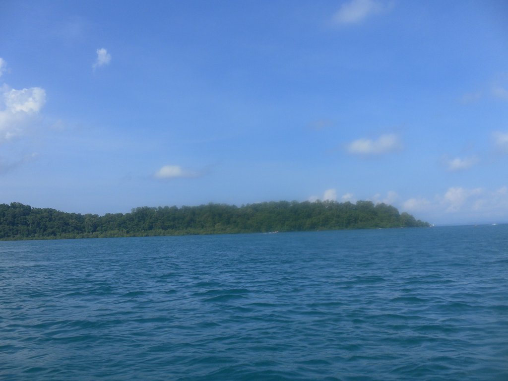 Image SAM_5284.JPG