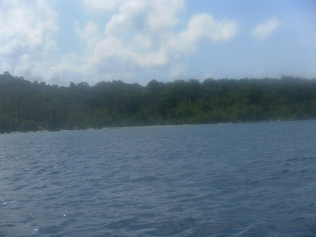 Image SAM_5287.JPG