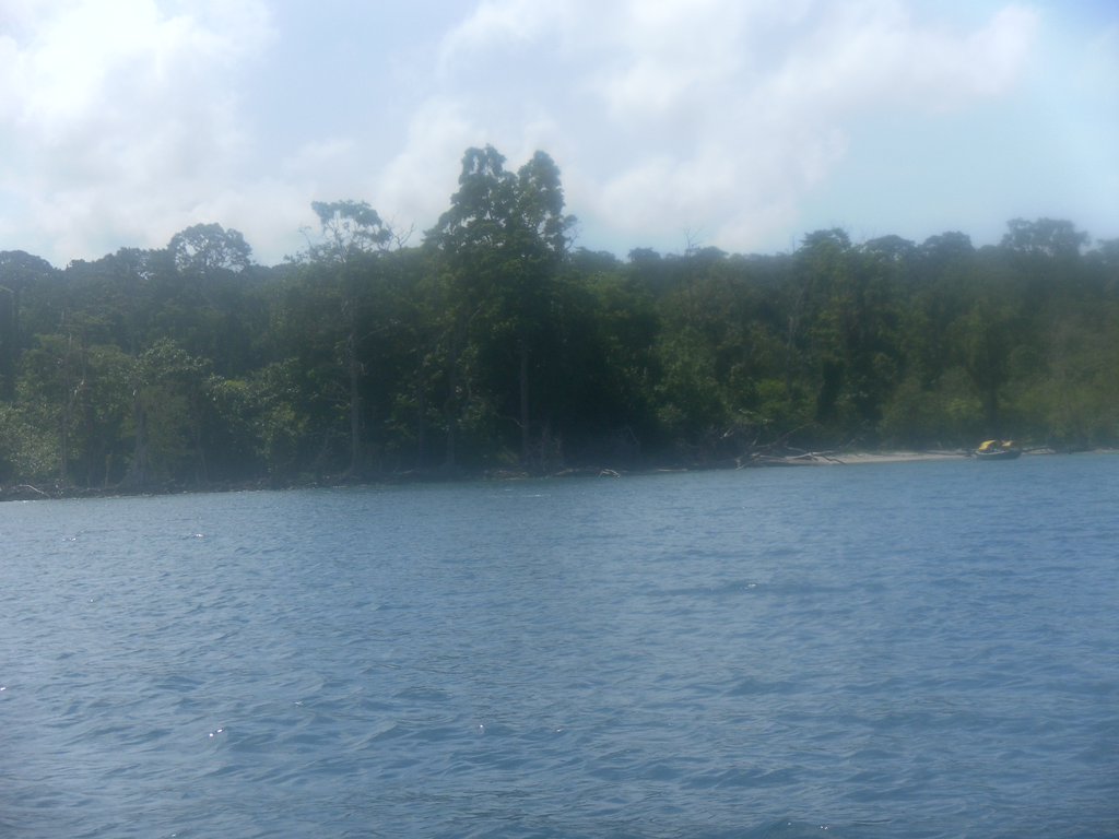 Image SAM_5288.JPG