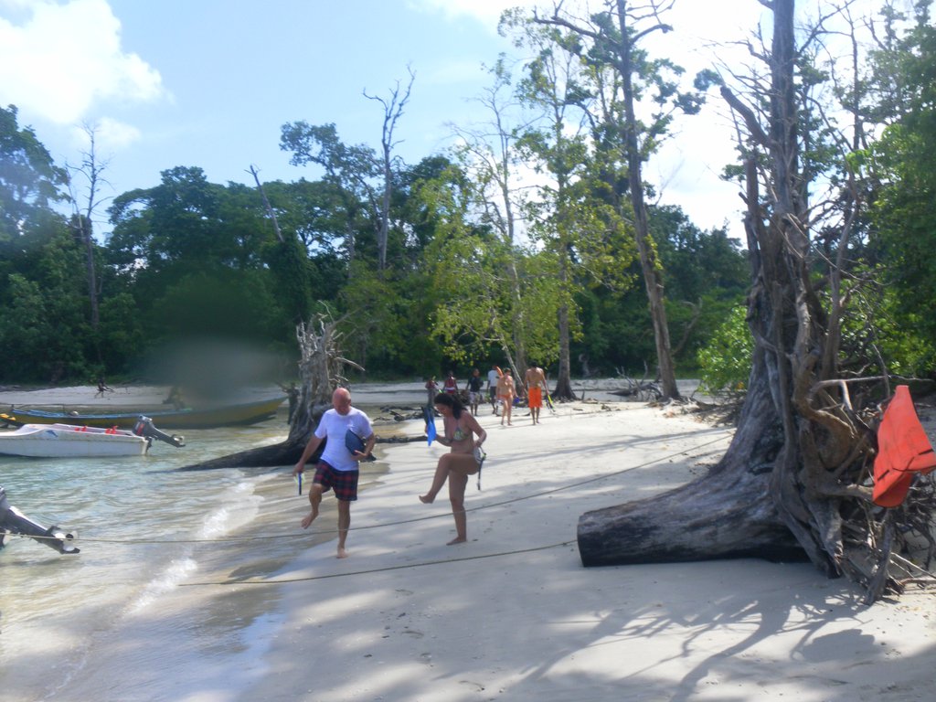 Image SAM_5291.JPG