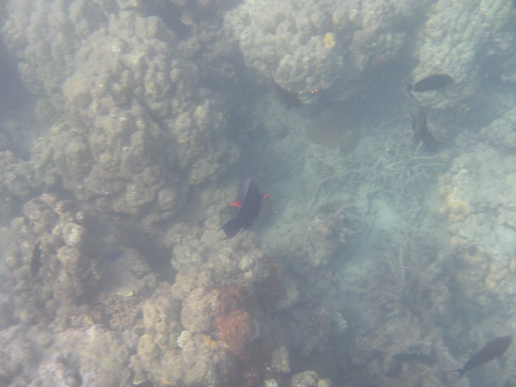 Image SAM_5296.JPG