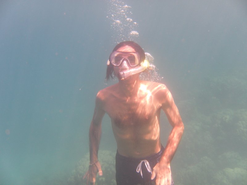 Image SAM_5308.JPG