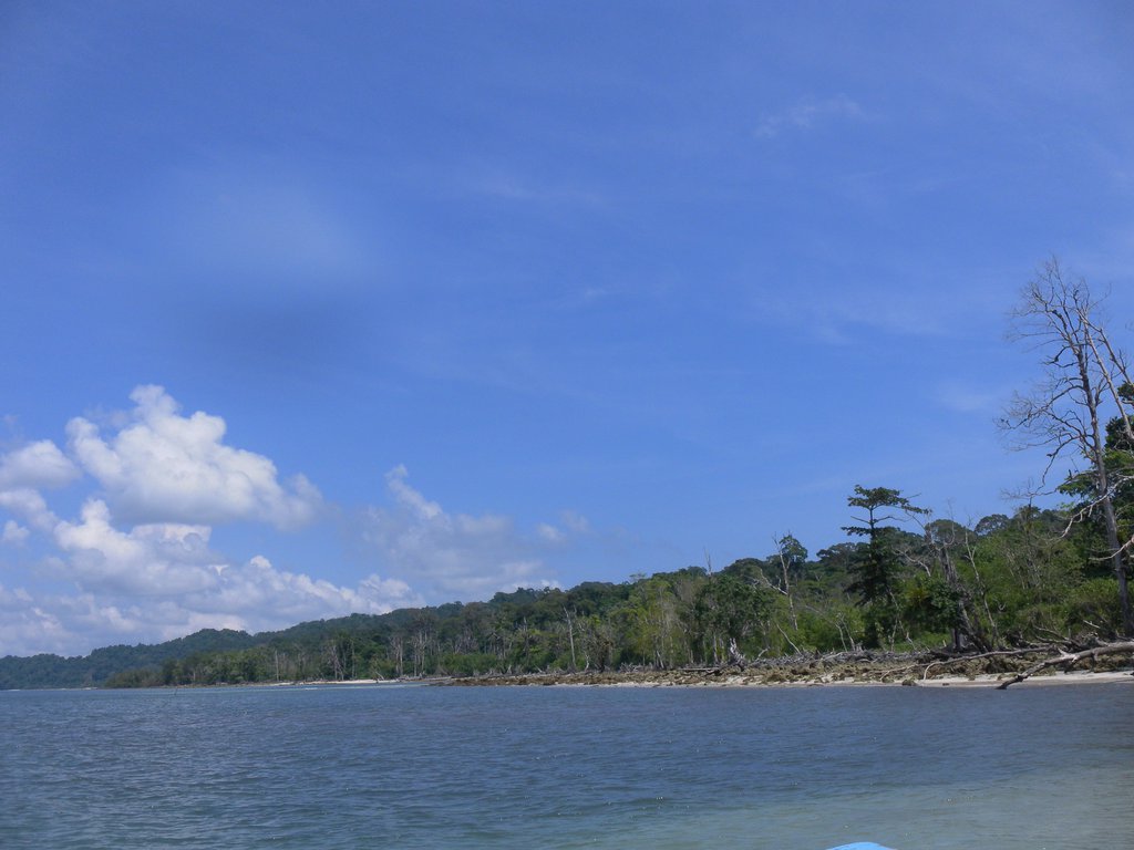 Image SAM_5373.JPG
