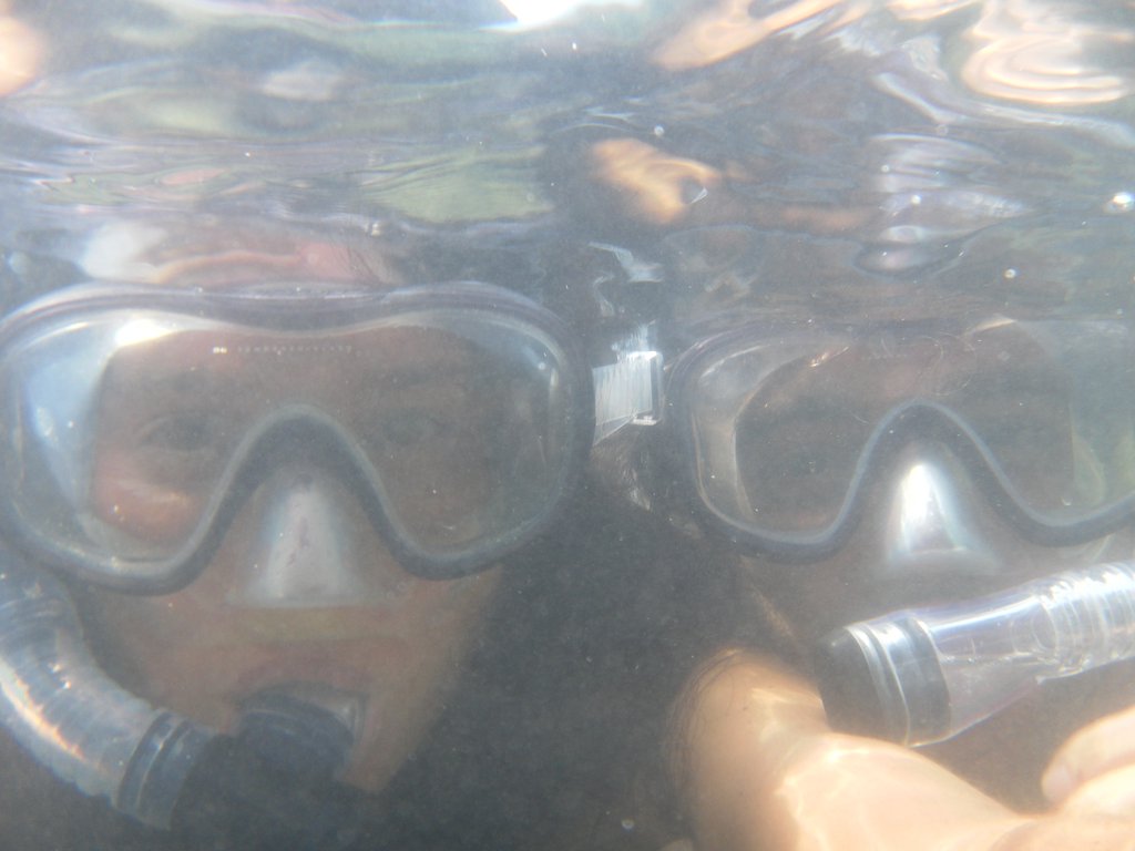 Image SAM_5377.JPG