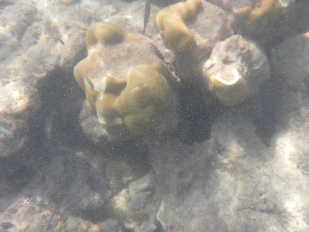 Image SAM_5380.JPG