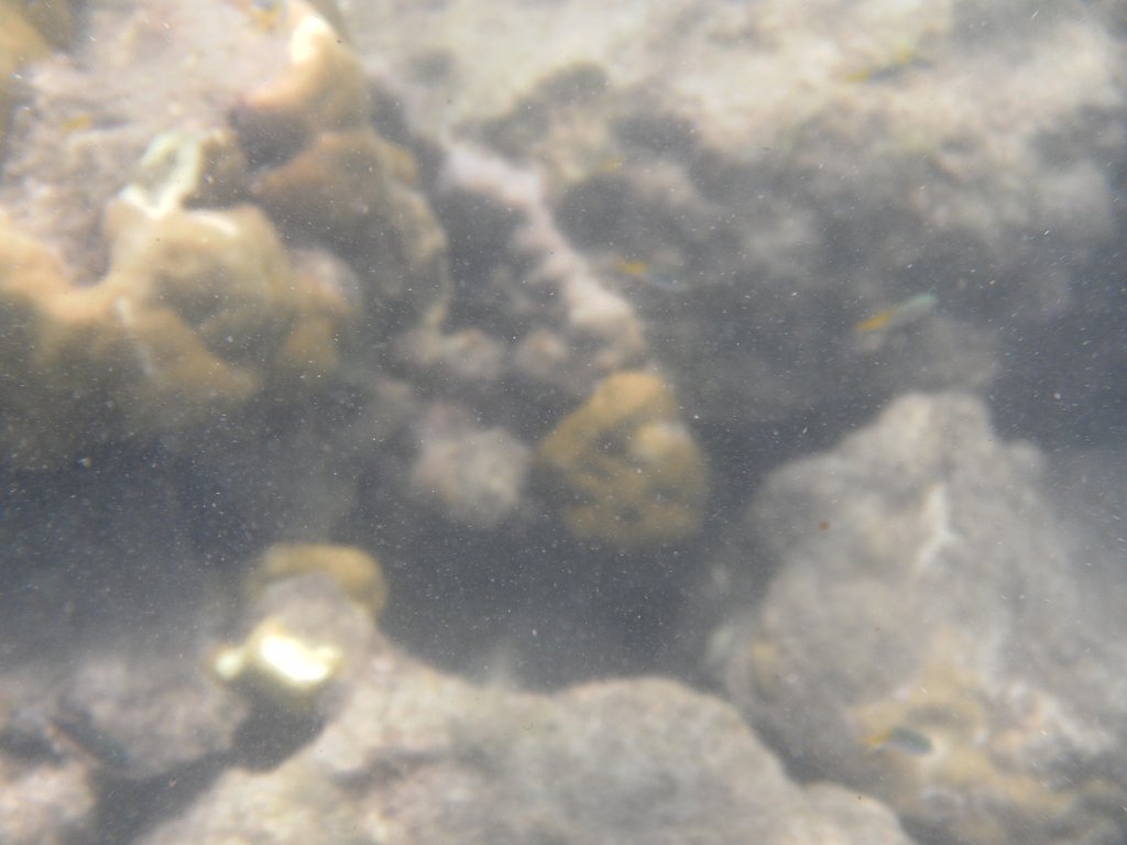 Image SAM_5383.JPG