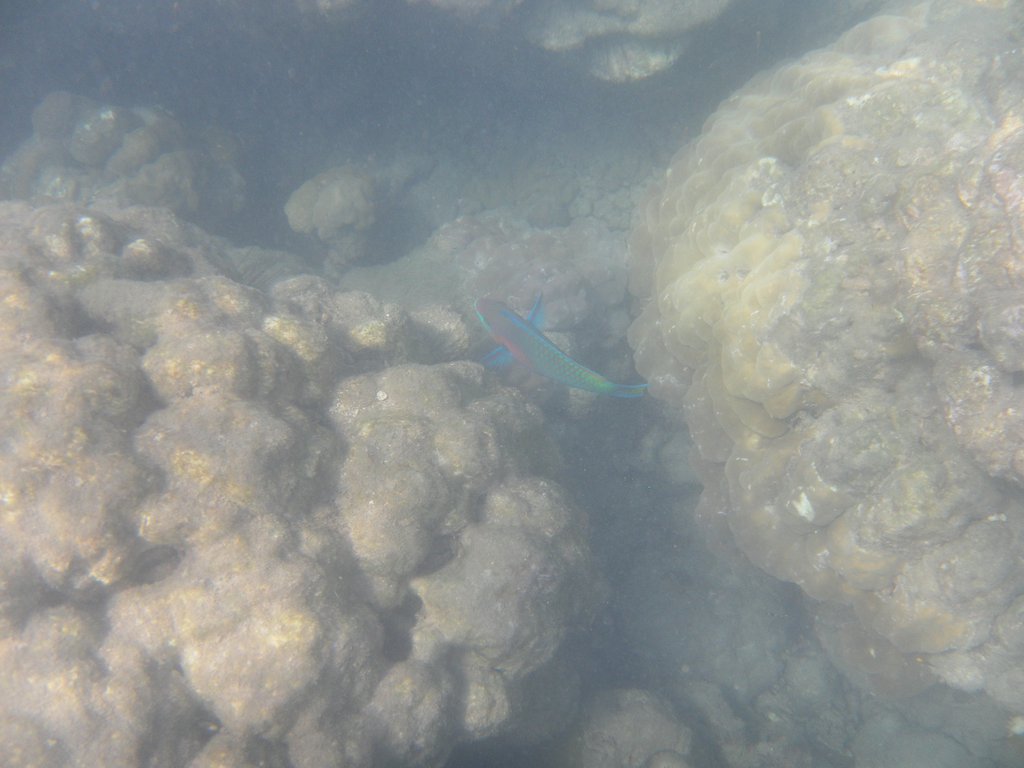 Image SAM_5394.JPG