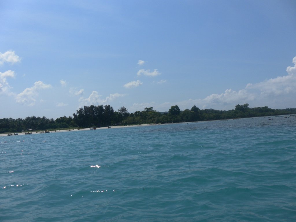 Image SAM_5399.JPG