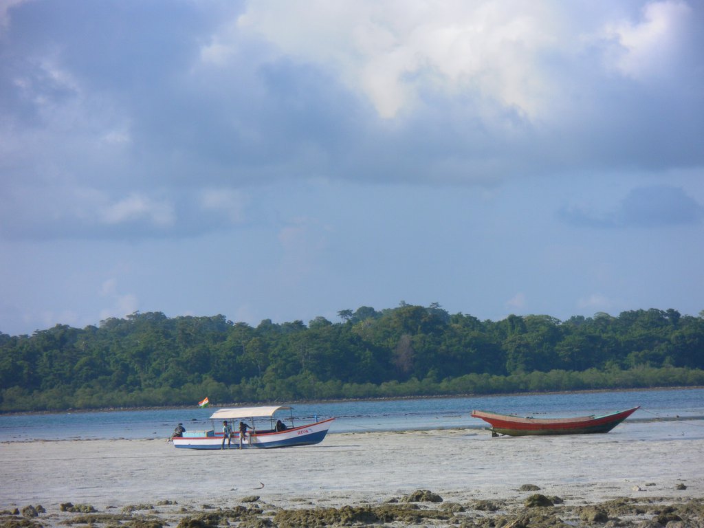 Image SAM_5416.JPG