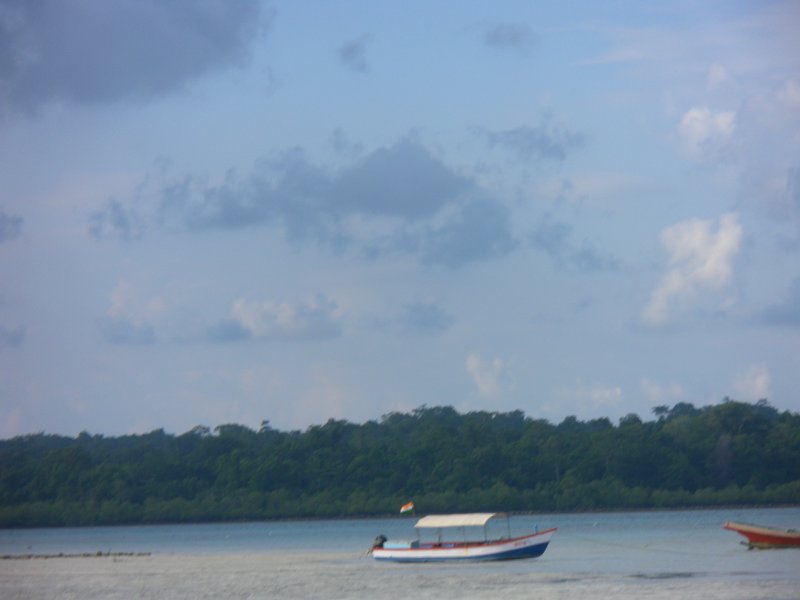 Image SAM_5419.JPG